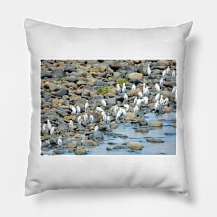 Duck at river side-Nature Pillow