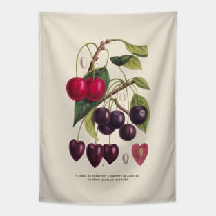 Cherry Antique Botanical Illustration Tapestry