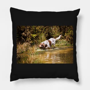 Water stalking Spinone Pillow