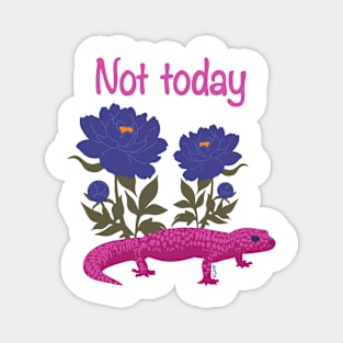 Not Today Gecko - Magenta Magnet