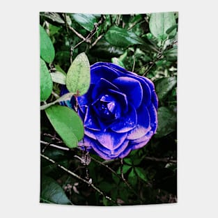 Blue Camellia 401 Tapestry