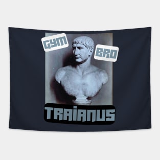 Gym bro Traianus Tapestry