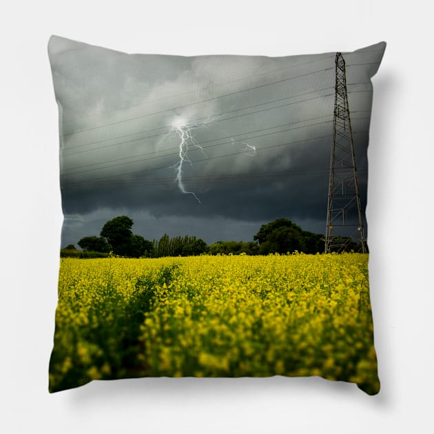 rapeseed storm 2 Pillow by outlawalien