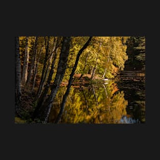 'Autumn Magic 3', Dunmore Loch, Pitlochry T-Shirt