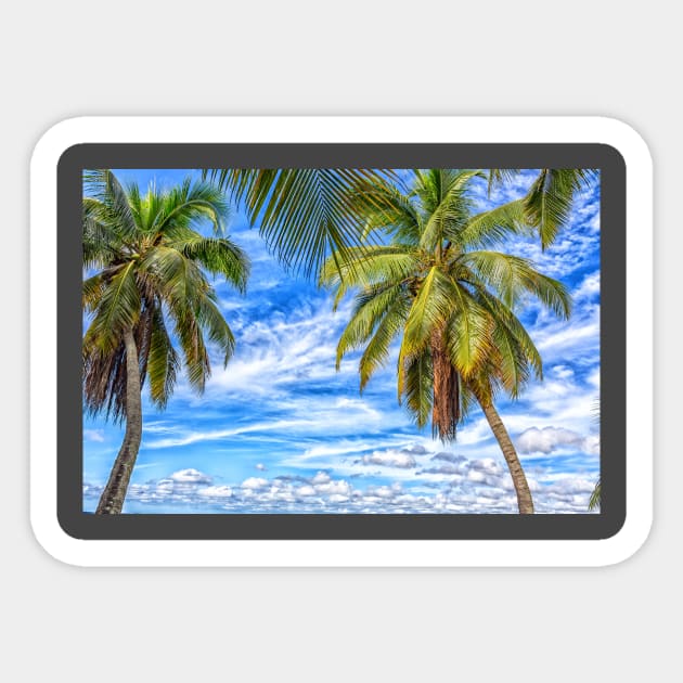 Three Palm Trees On Island Sticker