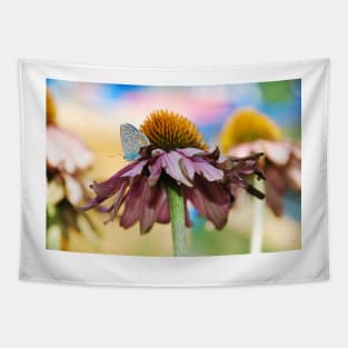 Echinacea Purpurea with Small Butterfly Tapestry