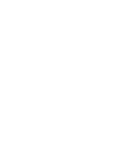 Spark Joy Magnet