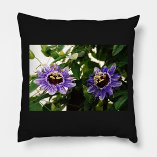 Purple Haze Passifloras Pillow