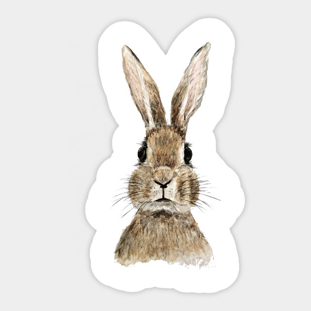 The Rabbit Mask Excellent. Cute and Innocent Animal