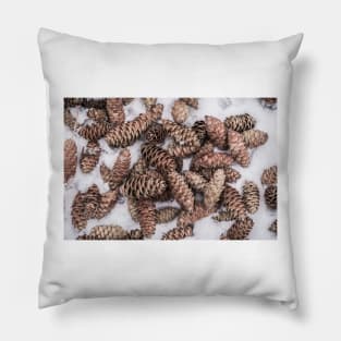 Spruce Cones on Fresh Snow - Color Version Pillow