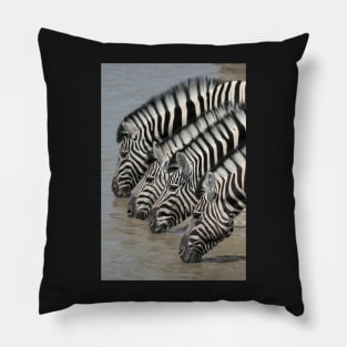 Zebras drinking Pillow