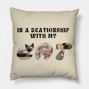 in a relationship with my cat Pillow