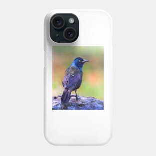 Grackle Sparkle Phone Case