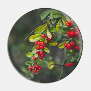 Berries Pin