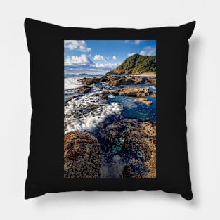 Happy Tide Pools Pillow