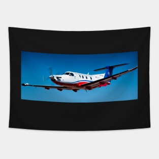 Pilatus PC12 RFDS Tapestry