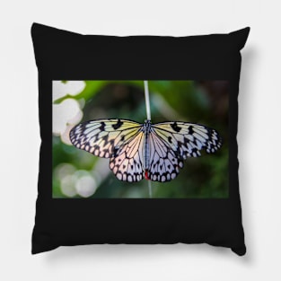 Butterfly Pillow