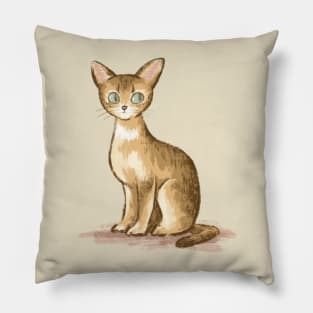 Abyssinian Pillow