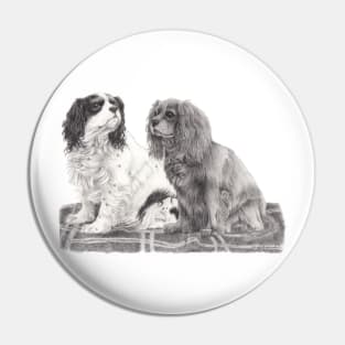 Cavalier king charles spaniel Pin