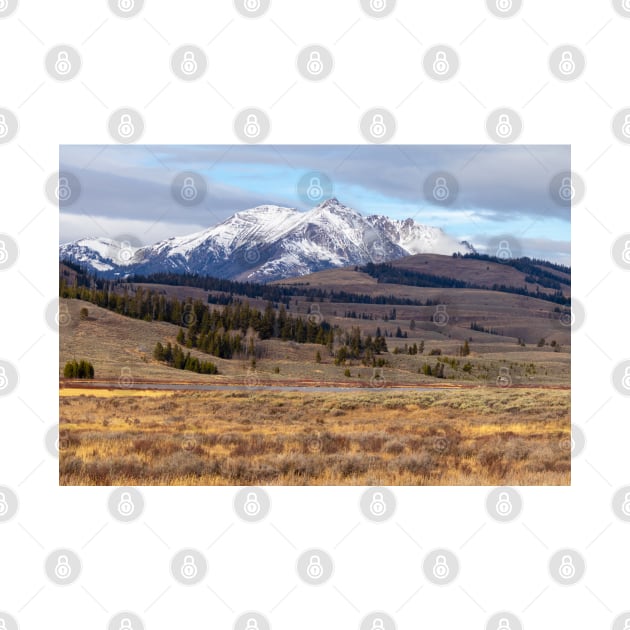 Snow-capped Mountains Yellowstone National Park by SafariByMarisa
