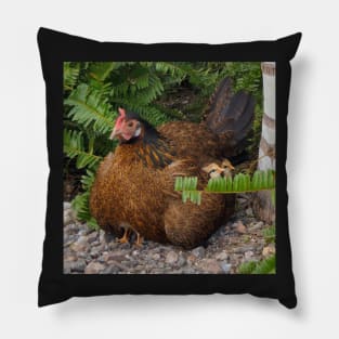 Rooster with her Chicks Pillow