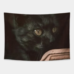 black cat Tapestry