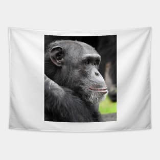 Chimpanzee Tapestry