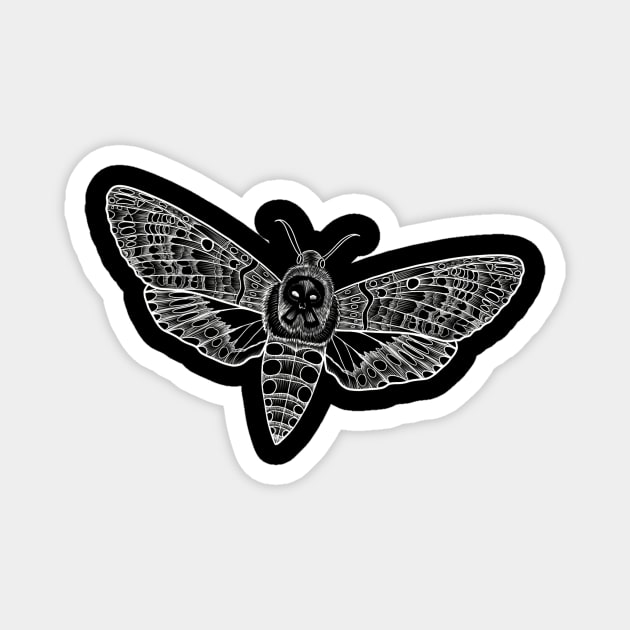 Death head moth sketch Magnet by Raccoon.Trash