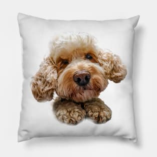 Loopy Lulu - cutout Pillow