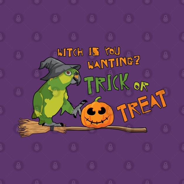 Amazon Parrot "Witch is you wanting? Trick or Treat" by TheStuffInBetween