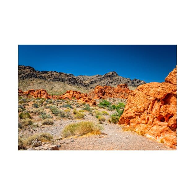 Valley of Fire State Park by Gestalt Imagery