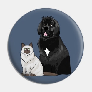 Cat and Dog Pin