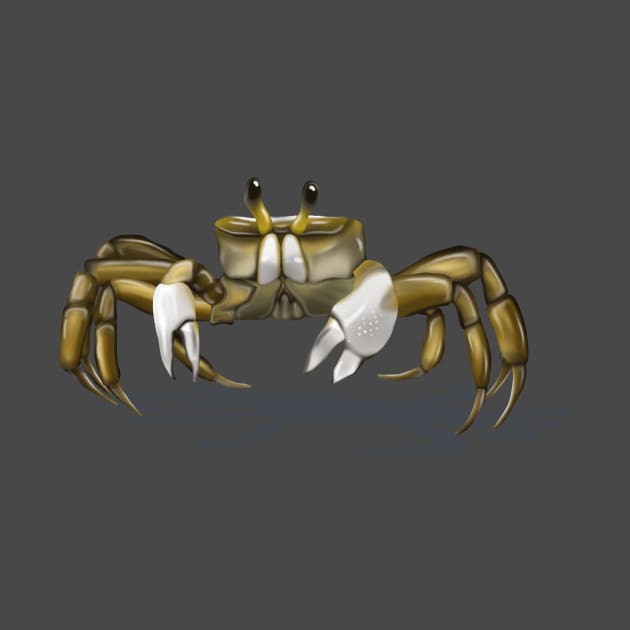 Sand crab by SuthrnView