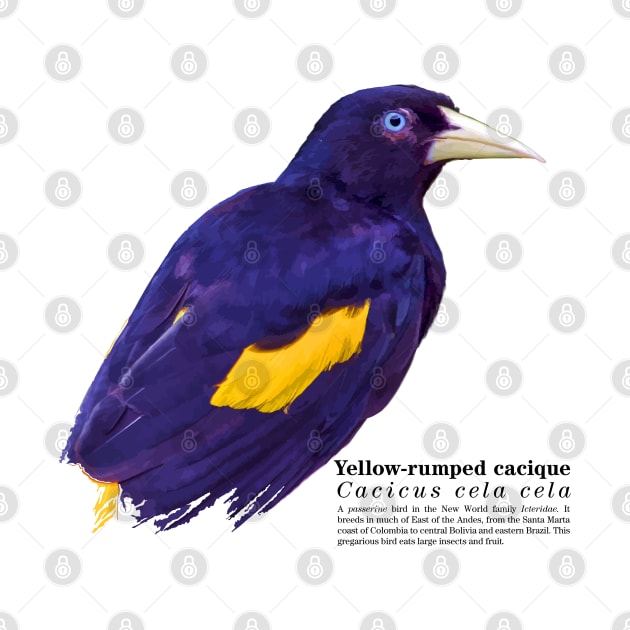 Yellow-rumped cacique tropical bird black text by Ornamentum