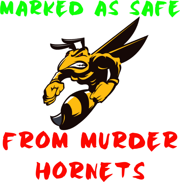 Marked As Safe From Murder Hornets, Hornet vs Bee Kids T-Shirt by Graffix