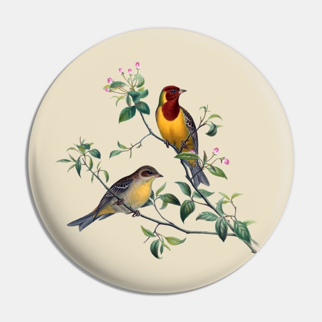 Red Headed Bunting Birds Pin by pocketlama