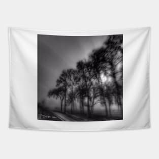 Shadows And Tall Trees - Black And White Tapestry