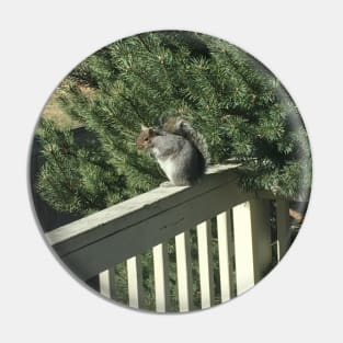 Squirrel Pin