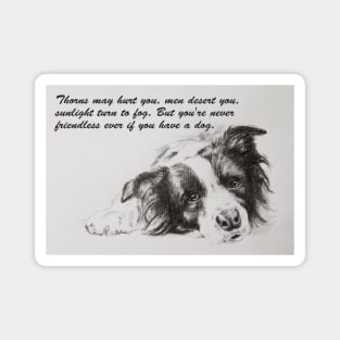 Thorns may hurt you...Border Collie Magnet