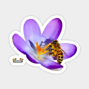 Proud Honey Bee Magnet