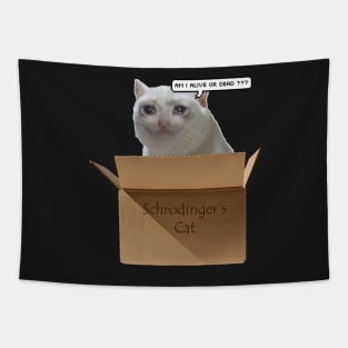 Schrodingers Cat meme Tapestry