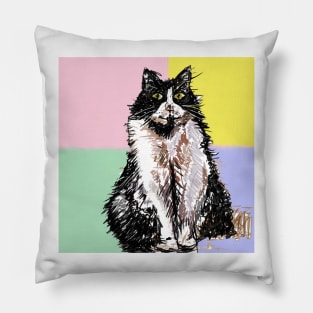 Tuxedo Cat Cute Drawing - on Pastel Rainbow Pillow