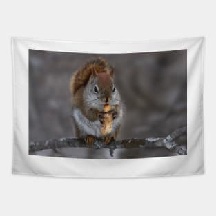 Squirrel with nut Tapestry