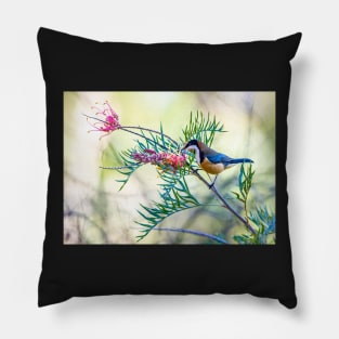 Eastern Spinebill in Grevillea Pillow