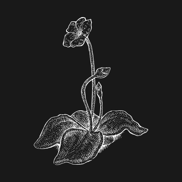 Pinguicula Butterwort Plant Flowers Botanical Drawing Flower by Venus Fly Trap Shirts