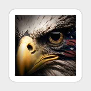 USA, Bald Eagle, America, American Flag, Magnet