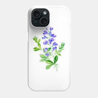 Blue False Indigo - Botanical Illustration Phone Case