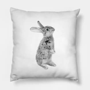 Rabbit 08 Pillow