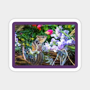 Tiny chipmunk in a basket of flowers Magnet