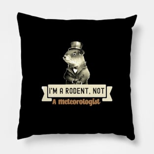 I'm A Rodent Not A Meteorologist Funny Capibara Rodent Lover Pillow